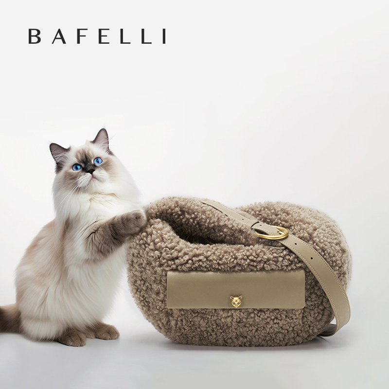 New Minimalist Luxury Designer - Women Bags Branded 评论和价格